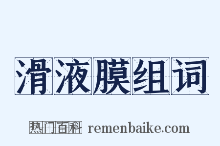 滑液膜组词是什么意思的图片